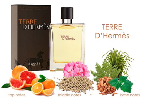 Hermes terre d'hermes ingredients